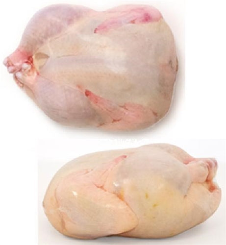 11"x18" Poultry Shrink Bags Chicken Freezer