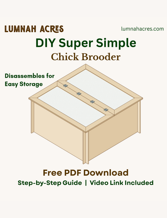DIY Super Simple Chick Brooder Plans - Free PDF Download